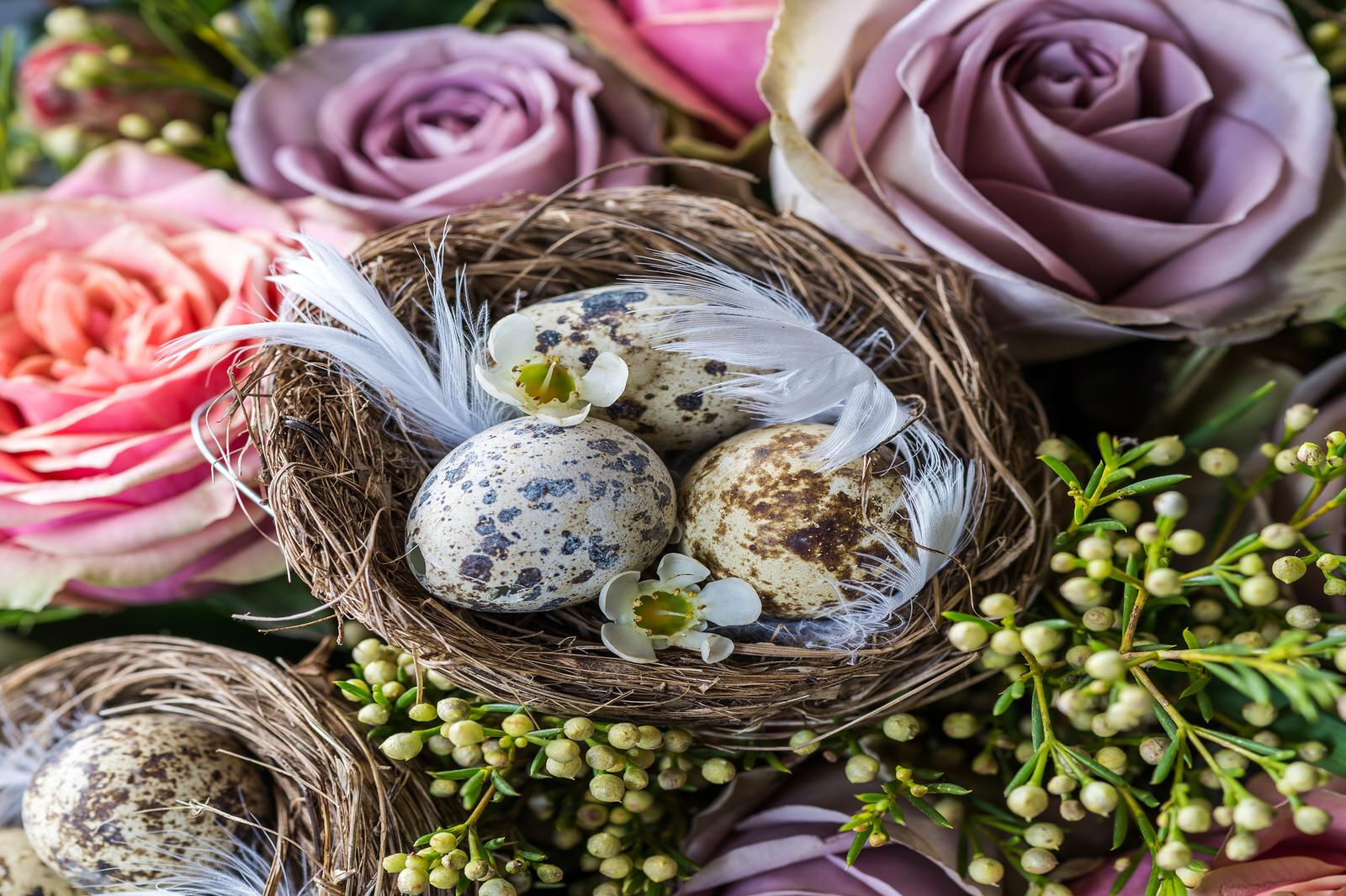 Featured image for “Ever wondered why Easters date changes?”