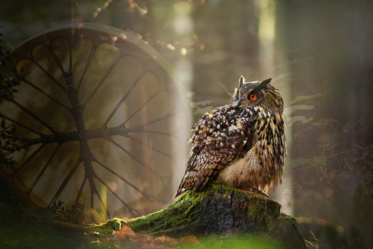 Featured image for “Shamanic Power Retrieval”