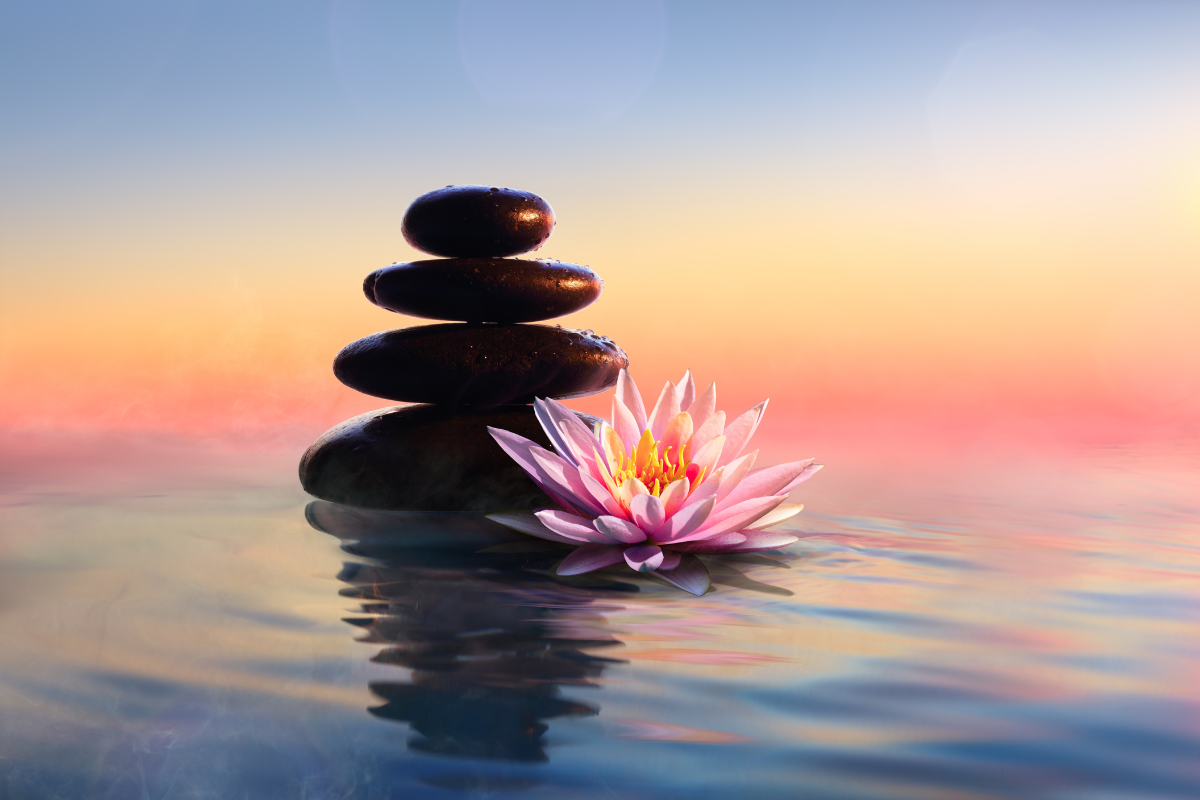 Featured image for “1: 1 Meditation”