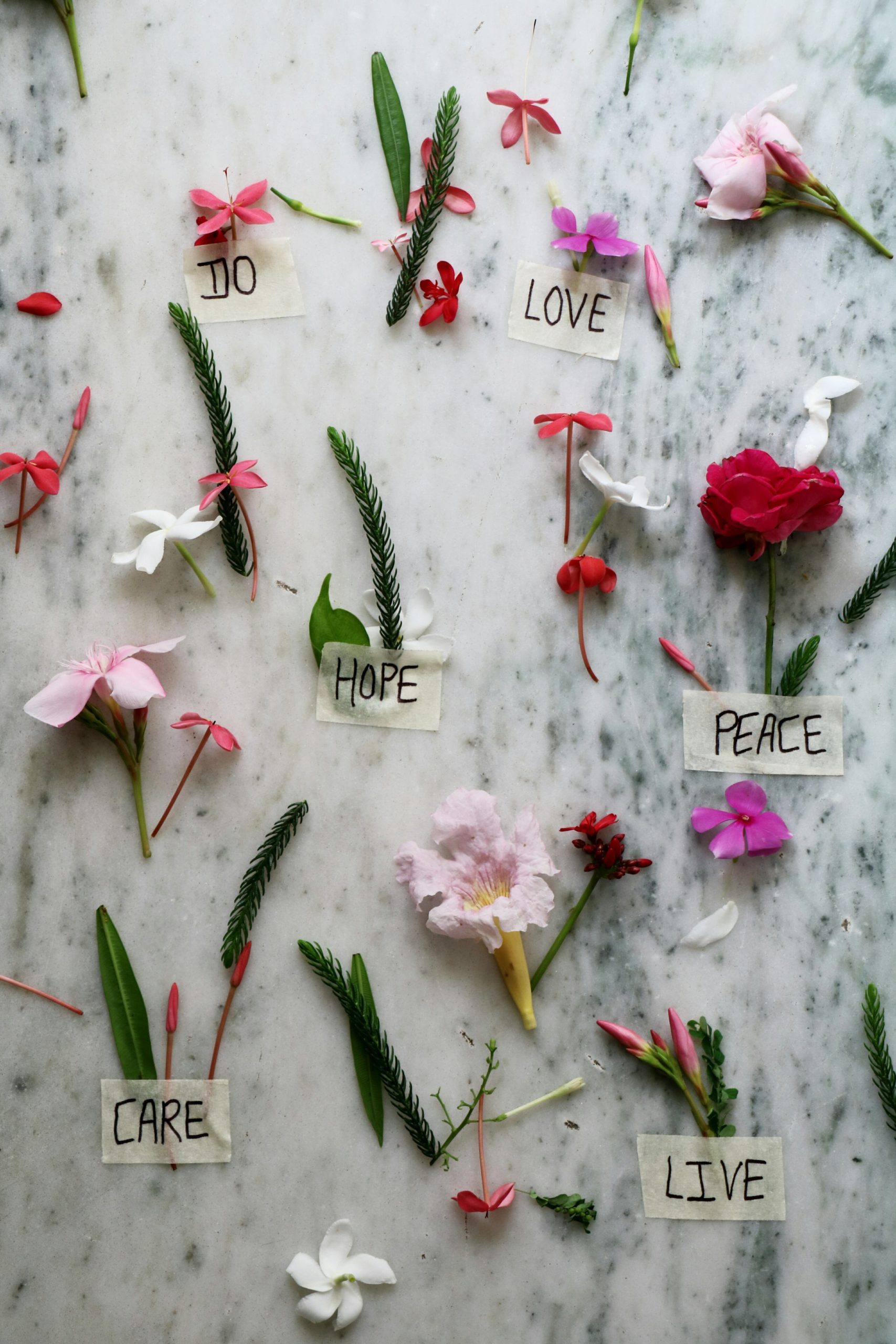 Featured image for “Love & Above is not just a trendy state of mind.”